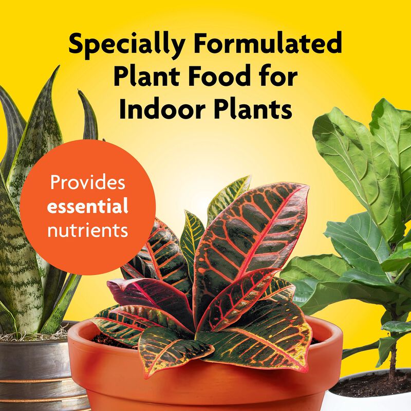 Miracle-Gro® Indoor Potting Mix and Miracle-Gro® Indoor Plant Food image number null